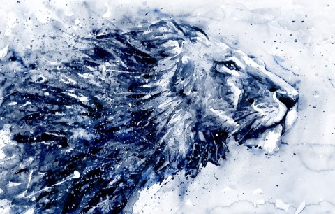 Fototapeta Majestatyczny Lew