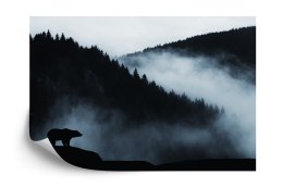 Fototapeta Niedźwiedź W Górach