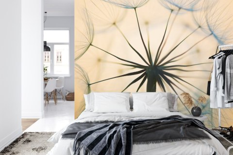 Fototapeta Optyczna Dmuchawiec