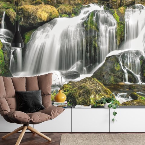 Fototapeta Wodospad W Lesie