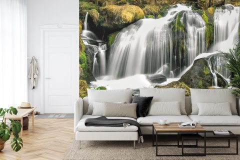 Fototapeta Wodospad W Lesie