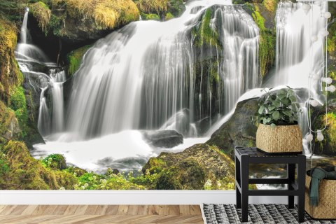 Fototapeta Wodospad W Lesie