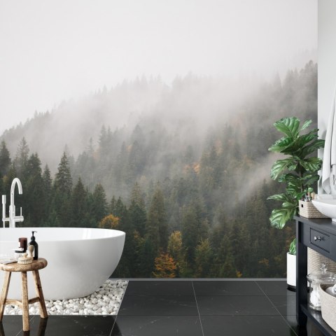 Fototapeta Las We Mgle