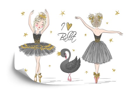 Fototapeta Baletnice I Czarny Łabędź