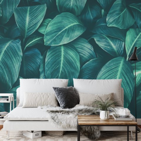 Fototapeta Ciemne Liście Tropikalne