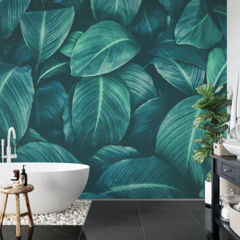 Fototapeta Ciemne Liście Tropikalne