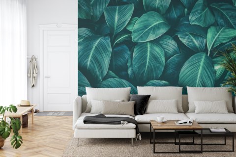 Fototapeta Ciemne Liście Tropikalne