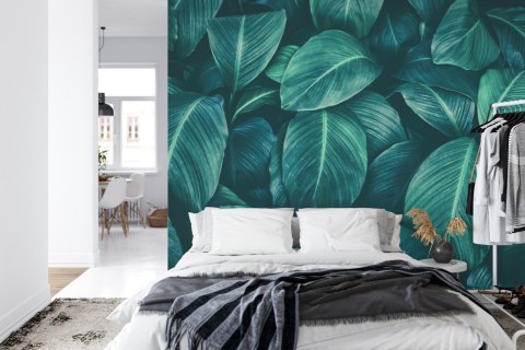 Fototapeta Ciemne Liście Tropikalne