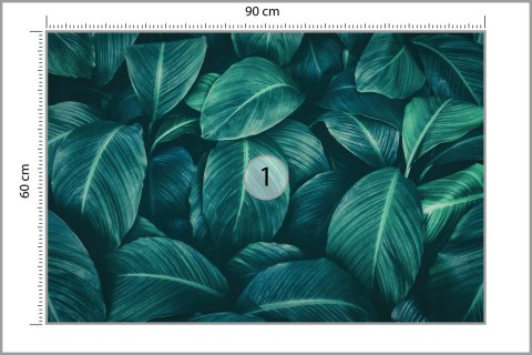 Fototapeta Ciemne Liście Tropikalne