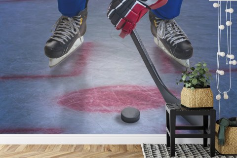 Fototapeta Hokeista Na Lodzie