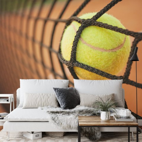 Fototapeta Piłka Tenisowa W Siatce