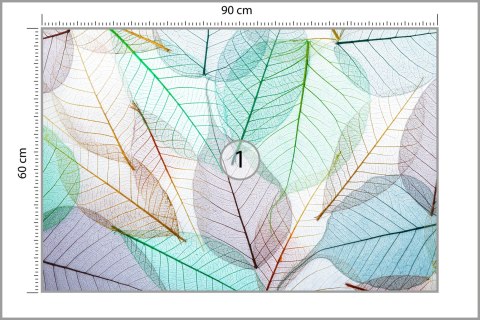 Fototapeta Kolorowe Prześwitujące Liście