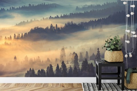 Fototapeta Las We Mgle