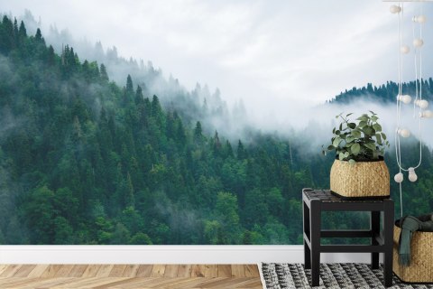 Fototapeta Las We Mgle
