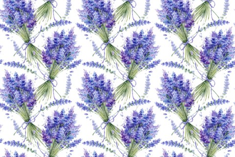 Fototapeta Lawenda Kwiaty