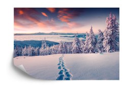 Fototapeta Zima W Górach