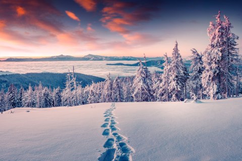 Fototapeta Zima W Górach