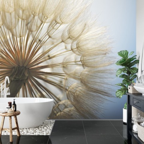 Fototapeta Dmuchawiec 3D