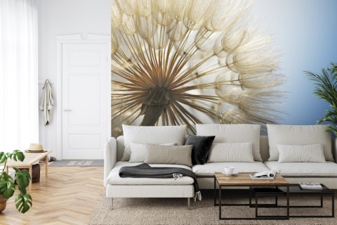 Fototapeta Dmuchawiec 3D