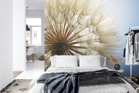 Fototapeta Dmuchawiec 3D