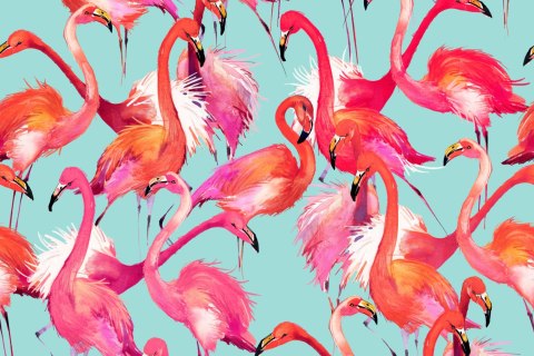 Fototapeta Flamingi