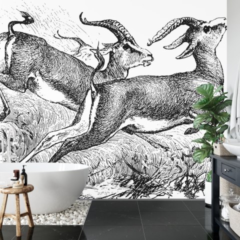 Fototapeta Gazele Vintage