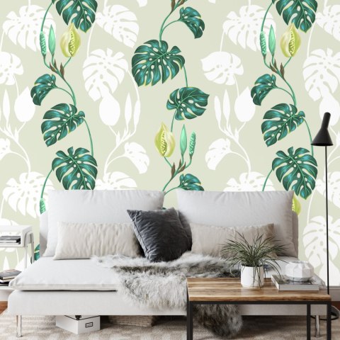 Fototapeta Liście Monstera