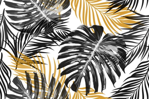 Fototapeta Liście Monstera