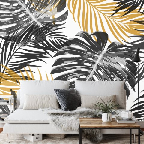 Fototapeta Liście Monstera