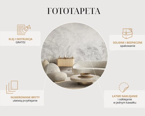 Fototapeta Optyczna Dmuchawce