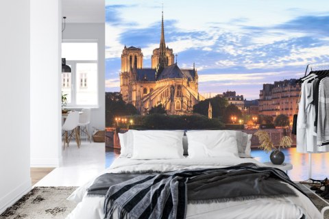 Fototapeta Paryż - Notre Dame