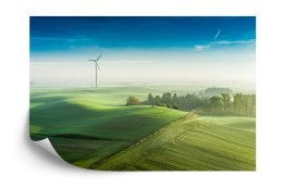 Fototapeta Widok Z Lotu Ptaka Na Zielone Pola 3D