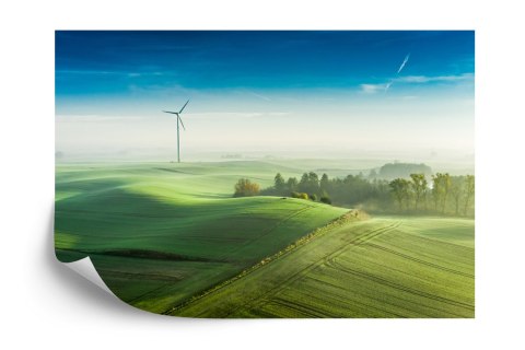 Fototapeta Widok Z Lotu Ptaka Na Zielone Pola 3D