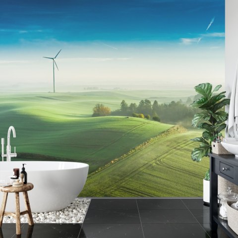 Fototapeta Widok Z Lotu Ptaka Na Zielone Pola 3D