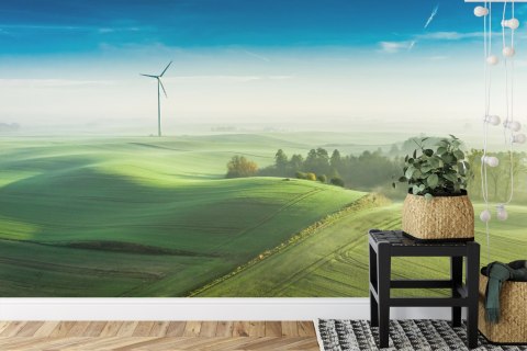 Fototapeta Widok Z Lotu Ptaka Na Zielone Pola 3D