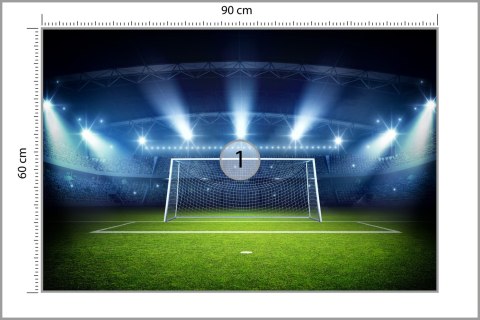 Fototapeta Bramka Na Stadionie