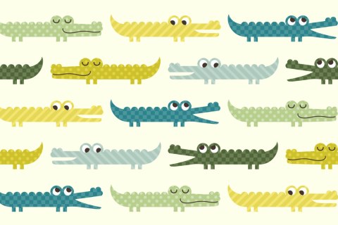 Fototapeta Kolorowe Aligatory