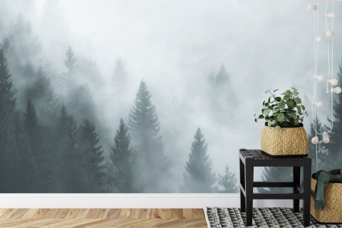 Fototapeta Las We Mgle