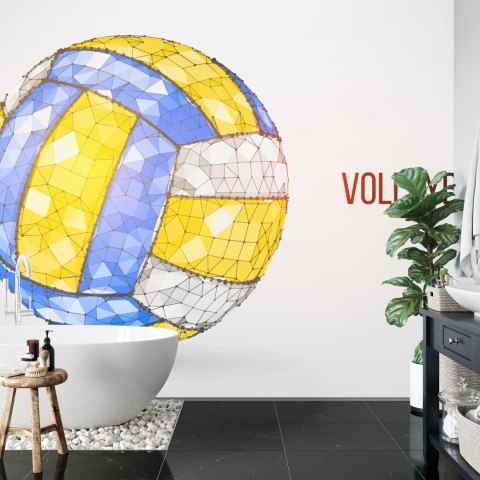 Fototapeta Piłka Siatkowa W Nowoczesnym Wydaniu