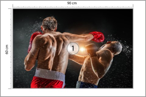 Fototapeta Walka Bokserów