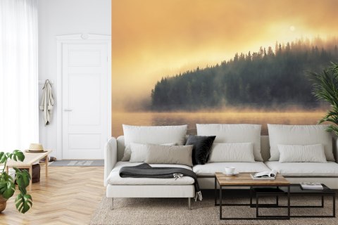 Fototapeta Las We Mgle