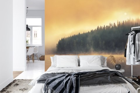 Fototapeta Las We Mgle