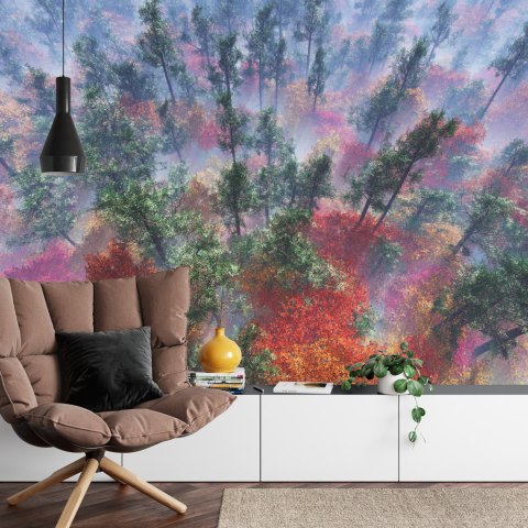 Fototapeta Las We Mgle