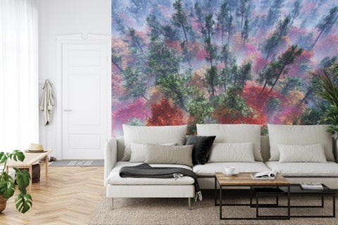 Fototapeta Las We Mgle