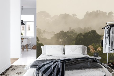 Fototapeta Las We Mgle