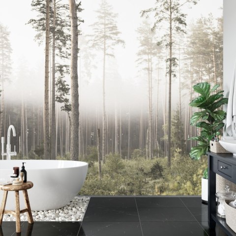 Fototapeta Las We Mgle