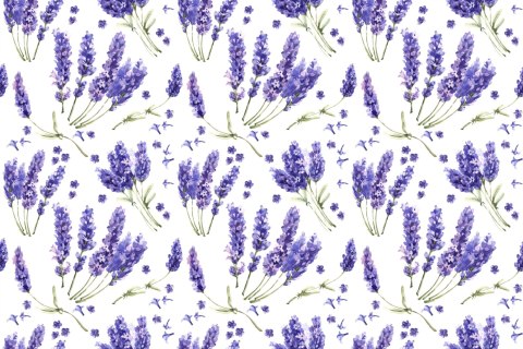 Fototapeta Lawenda Kwiaty