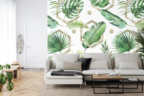 Fototapeta Liście Monstera