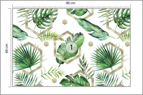 Fototapeta Liście Monstera