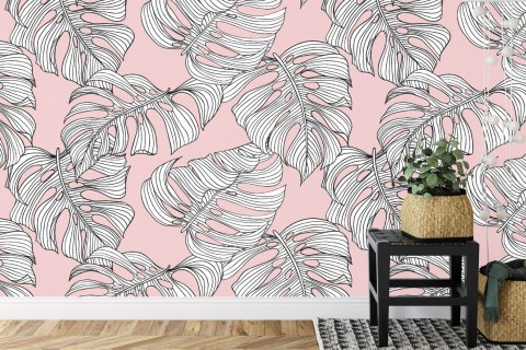 Fototapeta Liście Monstera